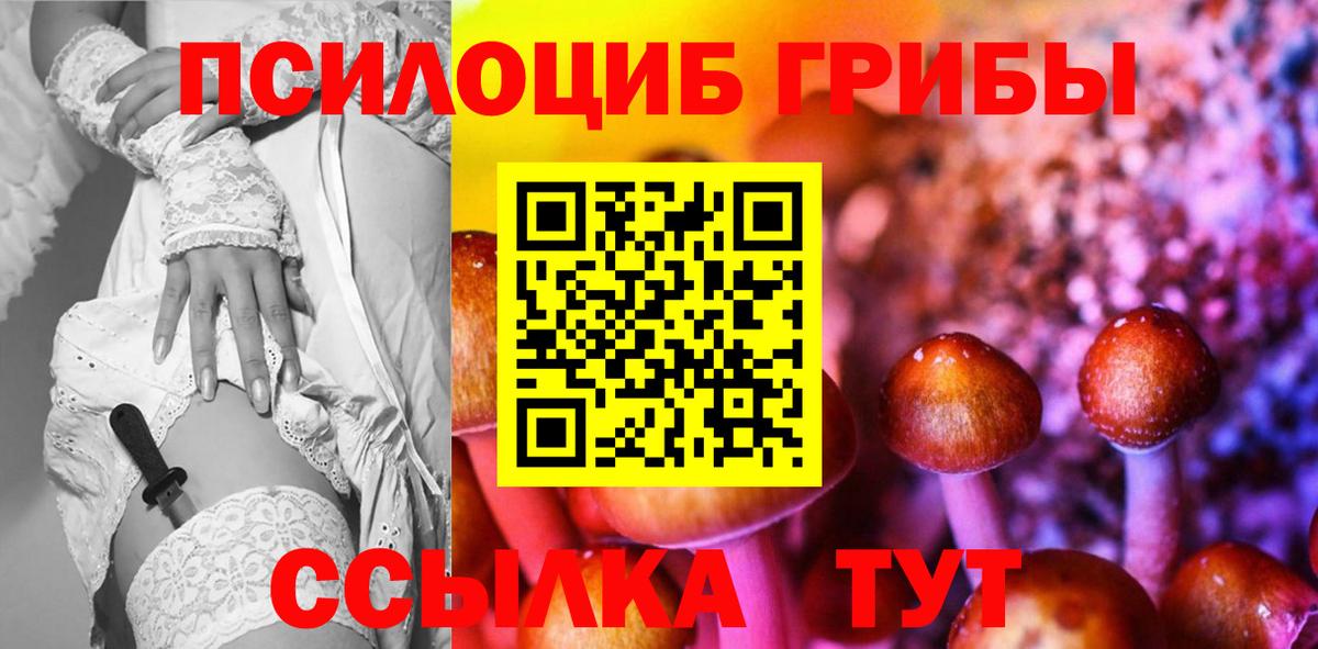 Галлюциногенные грибы Magic Shrooms  Вход с VPN  Углич  Галлюциногенные грибы Cubensis 